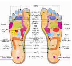 Carte des zones rflexologie des pieds.